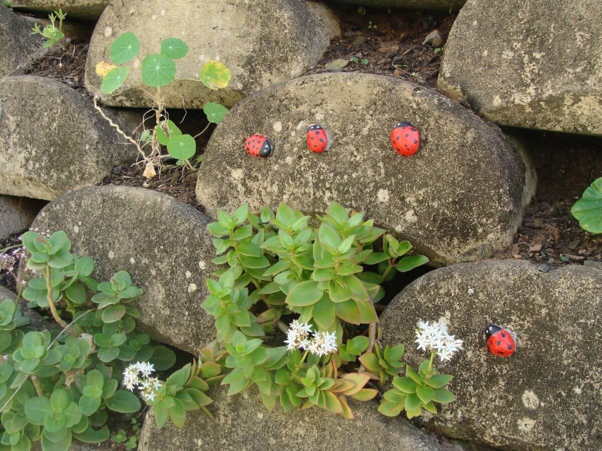 Ladybug Pebbles - Unique DIY Projects at Kridzil