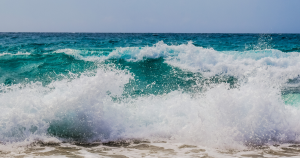 South Coast Beach